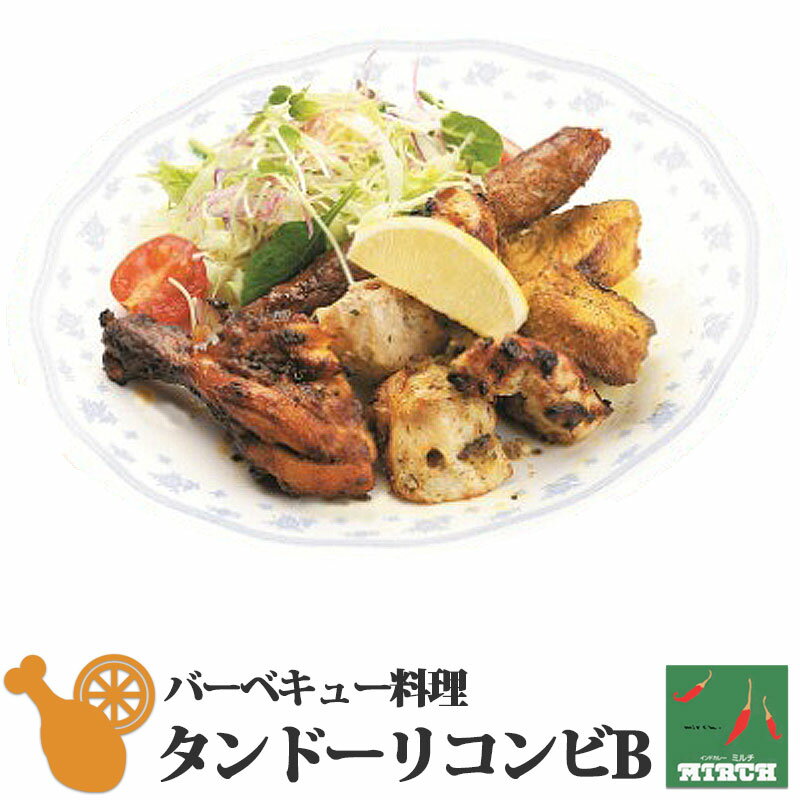 タンドーリ・コンビB 冷凍 無水調理 北海道 札幌の老舗インドカレー専門店 ミルチ 肉料理 サイドメニュー