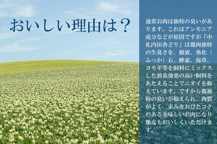 ������Ⱦ�ۥ����ݥ������桿���� ���� ( ���ˤ� ������ �ͥå� ) 500g�ѥå� �̳�ƻ �滥���ļˤɤ� ���֤�