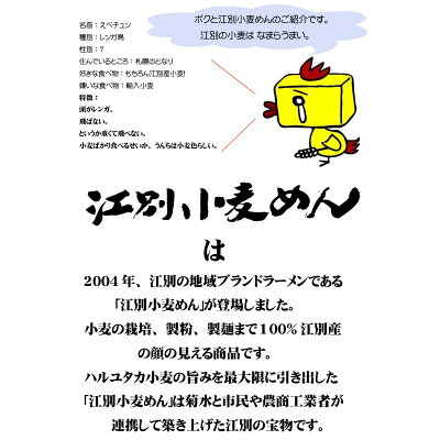 北海道美食生活 えべチュンら~めん14食 詰め合わせ EC-30N 送料無料 北海道 江別産 小麦100%使用 ラーメン 内祝 お返し えべちゅん ご当地キャラ お取り寄せ 麺 乾麺 ギフト 贈り物 ご当地ラーメン お土産 みそ 醤油 ラーメンギフト ギフト ハルユタカ 寒干し 画像3