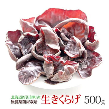 料理が楽しくなる 【 生きくらげ 国産 500g 】 送料無料 無農薬 菌床 栽培 温泉熱利用 キクラゲ 木耳|生 きくらげ 食材 野菜 食品 ・フード きのこ キノコ ラーメン 具 具材 北海道 ギフト 贈り物 ご当地 内祝い お土産 お返し 無農薬野菜