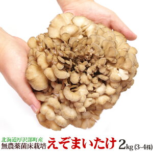 【数量限定半額クーポン配布中】【 蝦夷 舞茸 ( えぞ まいたけ ) 2kg(3〜4株)】 無農薬 北海道産 厚沢部町 送料無料 国産 きのこマイタケ キノコ 北海道 食材 野菜 食品 ・フード ギフト 取り寄せ お取り寄せ お土産 内祝 お返し 贈り物 無農薬野菜 お礼