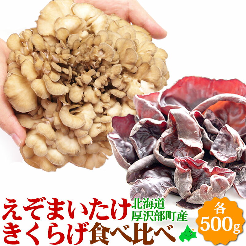 ＼限定半額クーポン配布中／まいたけ きくらげ (各500g) 食べ比べ えぞまいたけ 舞茸 木耳 北海道産 き..