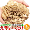 舞茸 えぞまいたけ 北海道産 無農薬 菌床栽培 きのこ マイタケ 北海道 蝦夷 キノコ 食材 野菜 ギフト 取り寄せ お取り寄せ 無農薬野菜 食べ物 冷蔵 まいたけ 北海道土産 国産 花以外