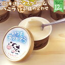 カウベル アイスクリーム バニラアイスクリーム 詰め合わせ 12個セット いつもありがとうパッケージ 北海道 十勝 カウベル 誕生日 スイーツ ご当地 お取り寄せ お土産 ギフト 母の日