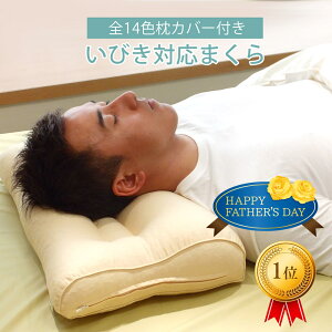【クーポンで30%OFF】父の日ギフト いびき対応枕 43×63cm 高さ調節 洗える 日本製 抗菌防臭カバー付き 無料ラッピング
