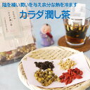 夏 オススメ 健康 元気 1000円ポッキリ カラダ潤し茶 3包入り 漢方茶 薬膳茶 八宝茶 養生茶 鉄観音烏龍茶 ハトムギ 枸杞の実 菊花 ティーバッグ カフェイン含 滋陰潤肺 補陰 うるおい ハーブティー