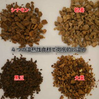 薬膳茶薬膳漢方健康茶「からだを温める黒のお茶」シナモン生姜黒豆がとても美味しい冷え症温め簡単ティーバッグ【売れ筋】【当店オススメ】