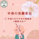オススメ 健康 元気 【早春の美麗茶会 8包入】 早夏にオススメ 薬膳茶 4種飲み比べ お試しセット 和漢茶 漢方茶 八宝茶 ティーバッグ お買い得 税込 送料無料 【香料・着色料・甘味料など一切不使用】 いろいろな味