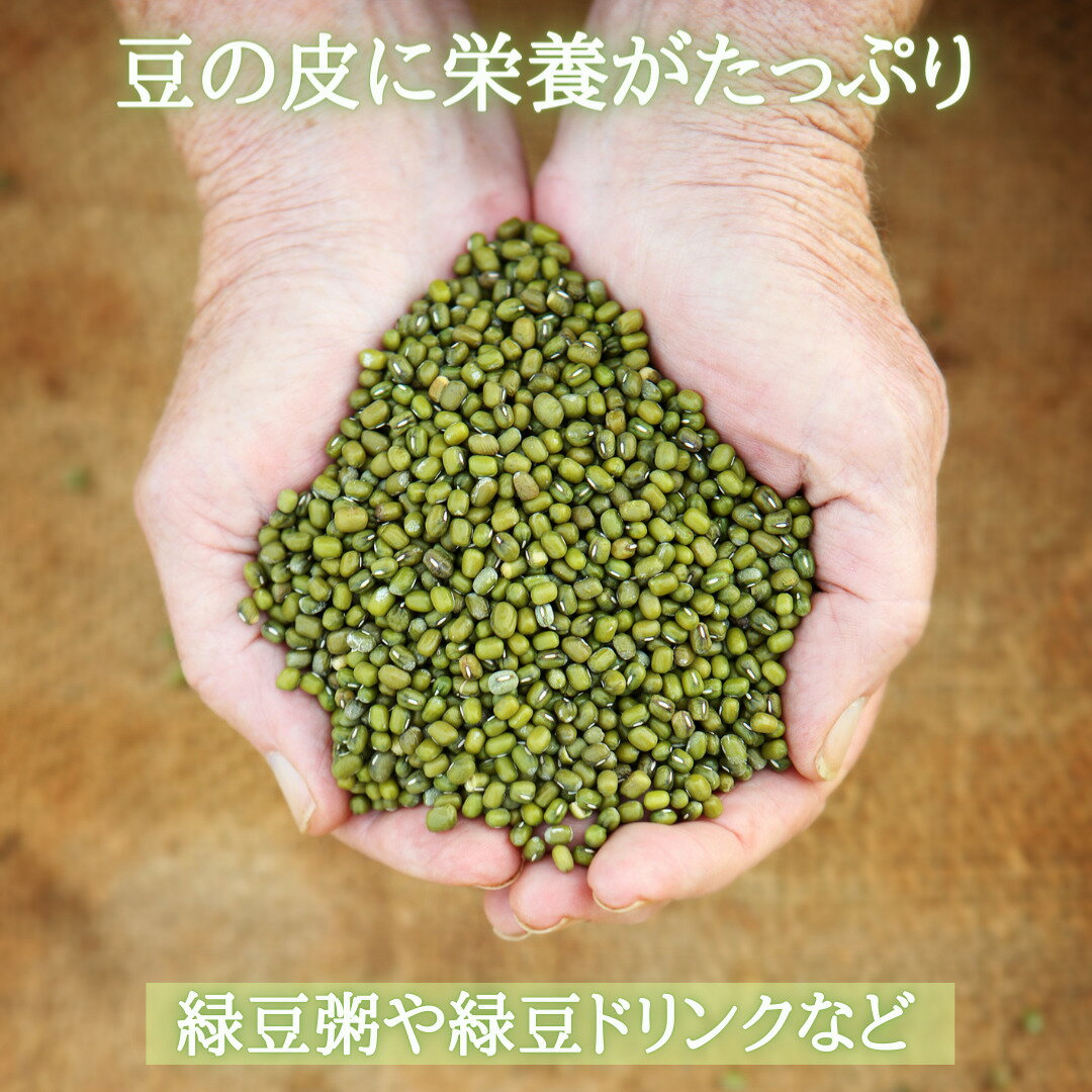 夏 健康 元気 緑豆 りょくとう 135g お試し オススメ 1000円ポッキリ 税込 送料無料 中国産 昔ながらの農法で安心安全 和漢 薬膳 清熱解暑 消暑煩熱 清熱利湿 補虚脾胃