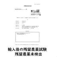 なつめ190グラムAAグレード棗ナツメ紅棗新疆和田哈密ジュジュベ大粒特大税込送料無料葉酸授乳漢方中医学気虚血虚貧血女性の宝脾の果干しなつめ無農薬無添加無着色無化学肥料なつめ酒薬膳食材薬膳材料薬膳料理美味しいドライフルーツ