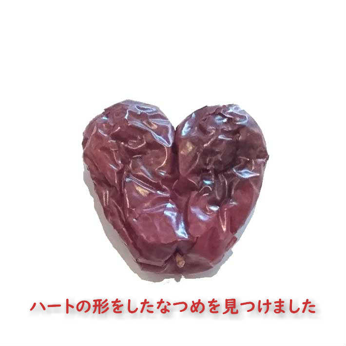 秋のスペシャルプレゼント40%OFFクーポン世界はほしいモノにあふれてるNHKなつめ300gなつめ茶無農薬日本国内生産加工棗ナツメ紅棗新疆和田乾燥なつめジュジュベ大粒税込葉酸授乳漢方中医学干しなつめ無添加無着色無化学肥料なつめ酒薬膳食材