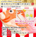 【内容】2品 鯛 商品詳細 原材料 魚肉、でん粉、食塩、卵白、発酵調味液、砂糖、ぶどう糖、調味料(アミノ酸等)、ソルビット、着色料[赤色(赤 3号・赤106号・カロチン)、青色(青1号)、黄色(ウコン・ビタミンB2)、緑色(クチナシ)、黒色(炭末色素)] 賞味期限 約2週間(開封後はお早めにお召し上がりください。) 保存方法 冷蔵庫(1℃〜10℃)にて保存 内容量 鯛・ミニハート5個入り その他 ◆この商品は予約注文のため、お届けは5日後となります。ご注文の際はお早めにお願い致します。 ◆細工かまぼこデザインは作り手一人ひとりの個性が出ますので、写真と若干異なることがあります。 　ご了承ください。 ◆ギフト包装や「のし」は、無料で承っております。 （ご注文画面の備考欄にご用途をお書きください。）にゃんかまタグ 猫の肉球型かまぼこ 【にゃんかま】 特性化粧箱に入っています。 また箱の中身は肉球型4個と顔1個入り。 一つ一つ全て真空包装されています。 一口サイズの中にはクリームチーズが練りこまれています。 お土産、おやつ、お弁当の一品にどうぞ。 コメント ぷにぷにとやわらかな手触りを意識して作りました。 &quot;にゃんかま&quot;は、見た目にもかわいいのでご贈答品に最適な1品です。 商品ディテール 特製化粧箱に入れてお届けいたします。 箱の中身は肉球型4個と顔1個となっております。 お弁当に入れたらクラスの人気者に^^ 揚げたにゃんかまはもふもふの手になります。 こちらがにゃんかまのキャラクターさん こどもたちに大人気！ 1個1個に開封シールがついているのではさみなしで開けます 商品スペック 特性化粧箱に入っています。 また箱の中身は肉球型4個と顔1個入り。 一つ一つ全て真空包装されています。 原材料 魚肉、チーズ、でん粉、食塩、卵白、砂糖、発酵調味液、ぶどう糖、調味料(アミノ酸等)、ソルビット、着色料(赤3、赤106、カロチン) 賞味期限 40日(開封後はお早めにお召し上がりください。) 保存方法 冷蔵庫(1℃〜10℃)にて保存 内容量 5個入り(箱サイズ:22cm×5.8cm×3cm) 特徴 ぷにぷにとやわらかな手触りを意識して作りました。一口サイズの中にはクリームチーズが練りこまれています。 お土産、おやつ、お弁当の一品にどうぞ。 販売者 生地蒲鉾(有)　富山県黒部市生地376番地 0765-56-8064