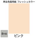 画用紙 色画用紙 フレッシュカラー 八ツ切 100枚 ピンク 単色 まとめ買い 八つ切り 大王製紙