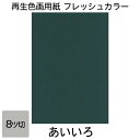 画用紙 色画用紙 フレッシュカラー 八ツ切 10枚 大王製紙 八つ切り あいいろ