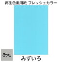 画用紙 色画用紙 フレッシュカラー 八ツ切 100枚 みずいろ 単色 まとめ買い 八つ切り 大王製紙