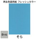 画用紙 色画用紙 フレッシュカラー 八ツ切 10枚 大王製紙 八つ切り そら