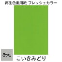 画用紙 色画用紙 フレッシュカラー 八ツ切 10枚 大王製紙 八つ切り こいきみどり