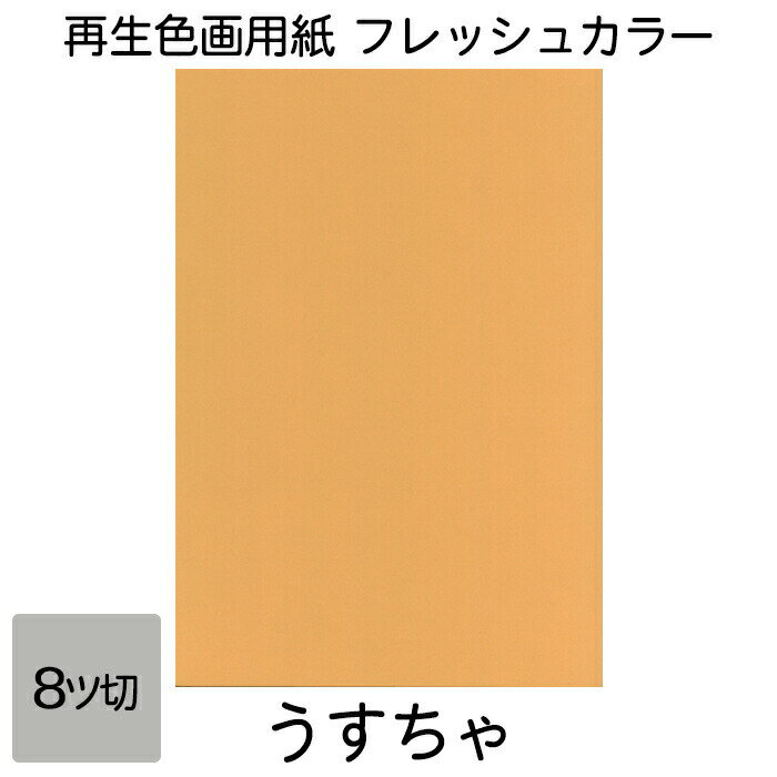 画用紙 色画用紙 フレッシュカラー 八ツ切 10枚 大王製紙 八つ切り うすちゃ