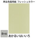 画用紙 色画用紙 フレッシュカラー 八ツ切 10枚 大王製紙 八つ切り あかるいはい