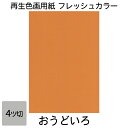 画用紙 色画用紙 フレッシュカラー 四ツ切 10枚 大王製紙 四つ切り おうどいろ