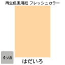 画用紙 色画用紙 フレッシュカラー 四ツ切 10枚 大王製紙 四つ切り はだいろ