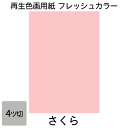 画用紙 色画用紙 フレッシュカラー 四ツ切 100枚 さくら 単色 まとめ買い 四つ切り 大王製紙