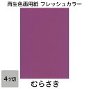 画用紙 色画用紙 フレッシュカラー 四ツ切 100枚 むらさき 単色 まとめ買い 四つ切り 大王製紙