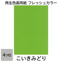 画用紙 色画用紙 フレッシュカラー 四ツ切 10枚 大王製紙 四つ切り こいきみどり