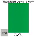 画用紙 色画用紙 フレッシュカラー 四ツ切 100枚 みどり 単色 まとめ買い 四つ切り 大王製紙