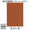 画用紙 色画用紙 フレッシュカラー 四ツ切 100枚 ちゃいろ 単色 まとめ買い 四つ切り 大王製紙