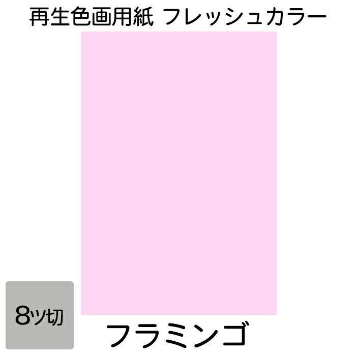 画用紙 色画用紙 フレッシュカラー 八ツ切 100枚 フラミンゴ 単色 まとめ買い 八つ切り 大王製紙