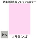 色上質紙 カラフルな色から選べる 10枚セット A4 210×297mm 中厚口 約0.1mm厚 【 メール便OK 】紀州色上質 【 カラーペーパー 上質紙 カラフル 選べる 色紙 ペーパーフラワー 工作 印刷 】