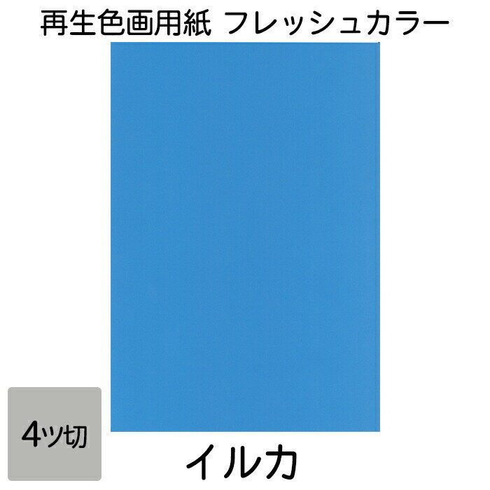 画用紙 色画用紙 フレッシュカラー 四ツ切 100枚 イルカ 単色 まとめ買い 四つ切り 大王製紙