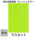 画用紙 色画用紙 フレッシュカラー 八ツ切 100枚 マスカット 単色 まとめ買い 八つ切り 大王製紙