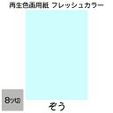 画用紙 色画用紙 フレッシュカラー 八ツ切 10枚 大王製紙 八つ切り ぞう