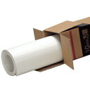 模造紙 方眼用紙 全判プロジェクト10mm方眼(50枚) オキナ