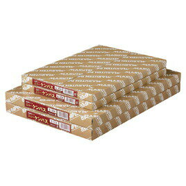 画材用紙 ケント紙 ニューケンパス(100枚) 薄口 B4 B304 ゴークラ