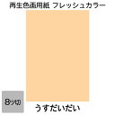 画用紙 色画用紙 フレッシュカラー 八ツ切 100枚 うすだいだい 単色 まとめ買い 八つ切り 大王製紙