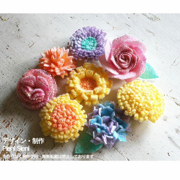 �ڥ����ݥ������桪3/4 17:00��3/11 08:59�ۥե���� ���饭�� ���� �� �ե����Ĵ�������饯���� �֥롼 �� 5��