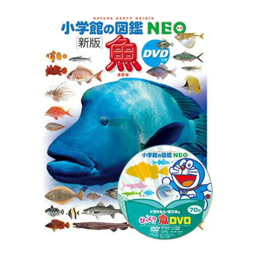 図鑑 小学生 小学館の図鑑NEO 新版］魚