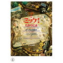 ミッケ　絵本 絵本 ミッケ！ たからじま わくわくさせるかくれんぼ絵本 対象年齢3歳から 小学館