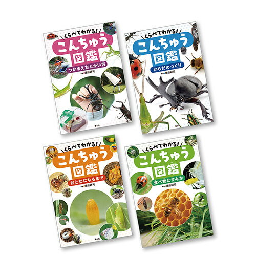 絵本 くらべてわかる!こんちゅう図鑑 4冊セット 童心社