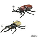 おもちゃ フィギュア アニア 昆虫 (5)世界の昆虫王者セット タカラトミー