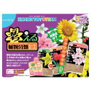 おもちゃ 知育 ゲーム カードゲーム 考える植物分類カードゲーム くもん出版