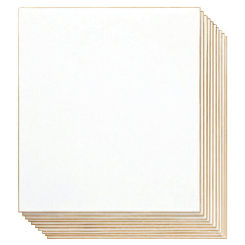 色紙 サイン 寄せ書き 色紙画仙（10枚） 今村紙工