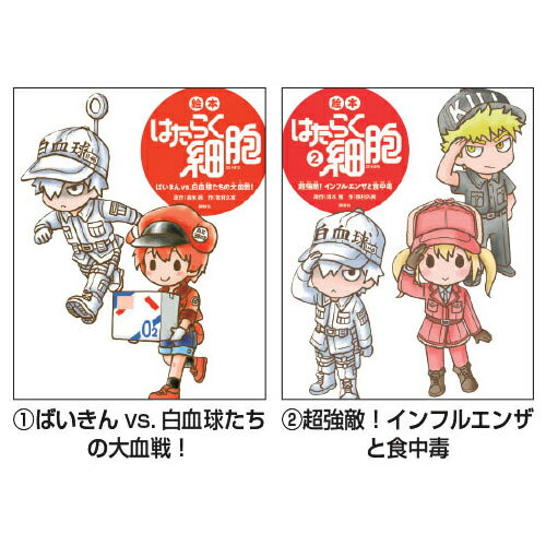 㤨ֳ Ϥ餯˦ 4ͤϤ勞ʤǮɤȤդ ̼ҡפβǤʤ1,650ߤˤʤޤ