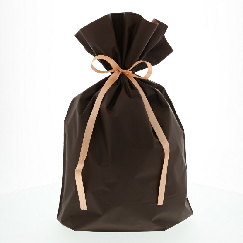 ラッピング ギフト袋 ポリ巾着袋 梨地 巾着袋 ブラウン 茶 Lサイズ ※お客様ご自身でラッピングをしていただく商品です。(メール便1通につき11点まで)