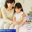 【ポイント11倍+クーポン】 防水シーツ エコ サイズ 1枚 時短 乾燥機 洗濯 脱水 OK 介護 部分 タイプ 子供 ベビー お昼寝 布団 尿漏れ 寝汗 旅行...
