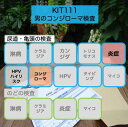 【送料無料】KIT111 アイラボの「男のコンジローマ検査」【あす楽対応】検査項目：コンジローマ型HPVのタイピング、炎症