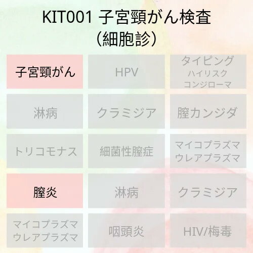 【送料無料】KIT001 アイラボの 子宮頸がん検査 【あす楽対応】検査項目：子宮頸がん検査 細胞診 膣炎